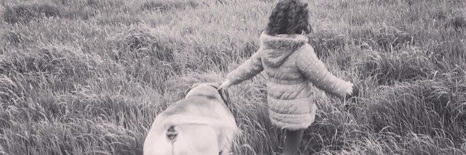 staceyknowles10's profile banner image