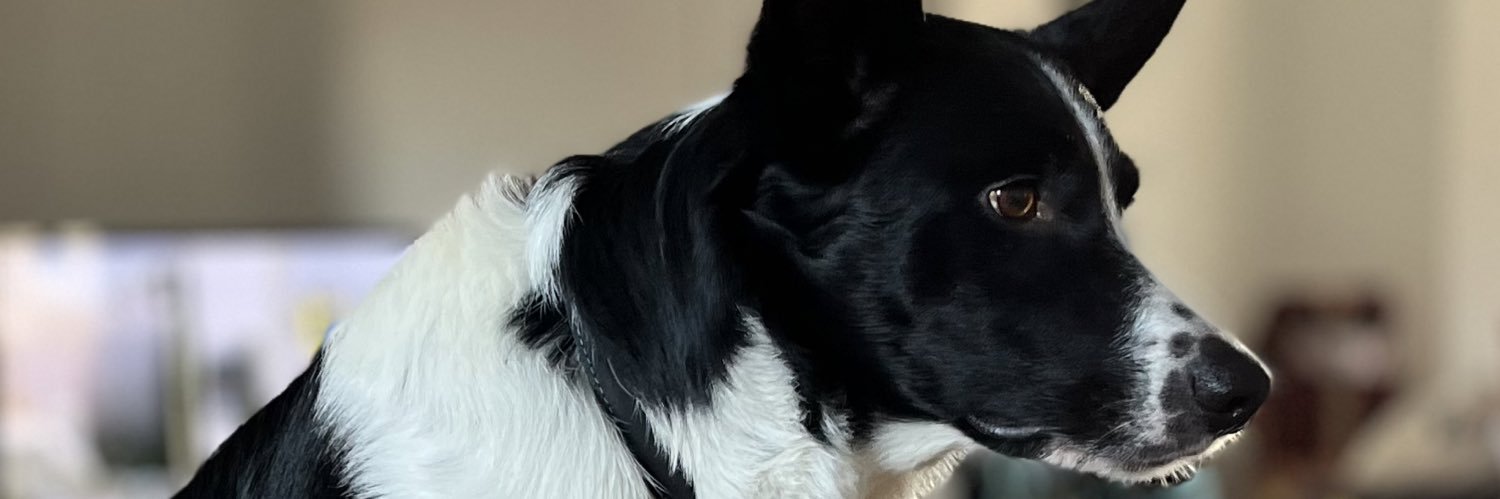 colemere1's profile banner image