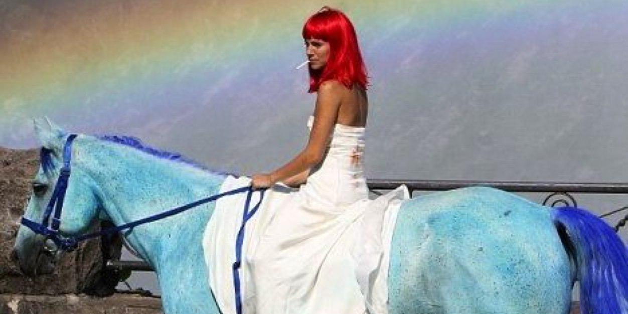 Anya Taylor Joy banner