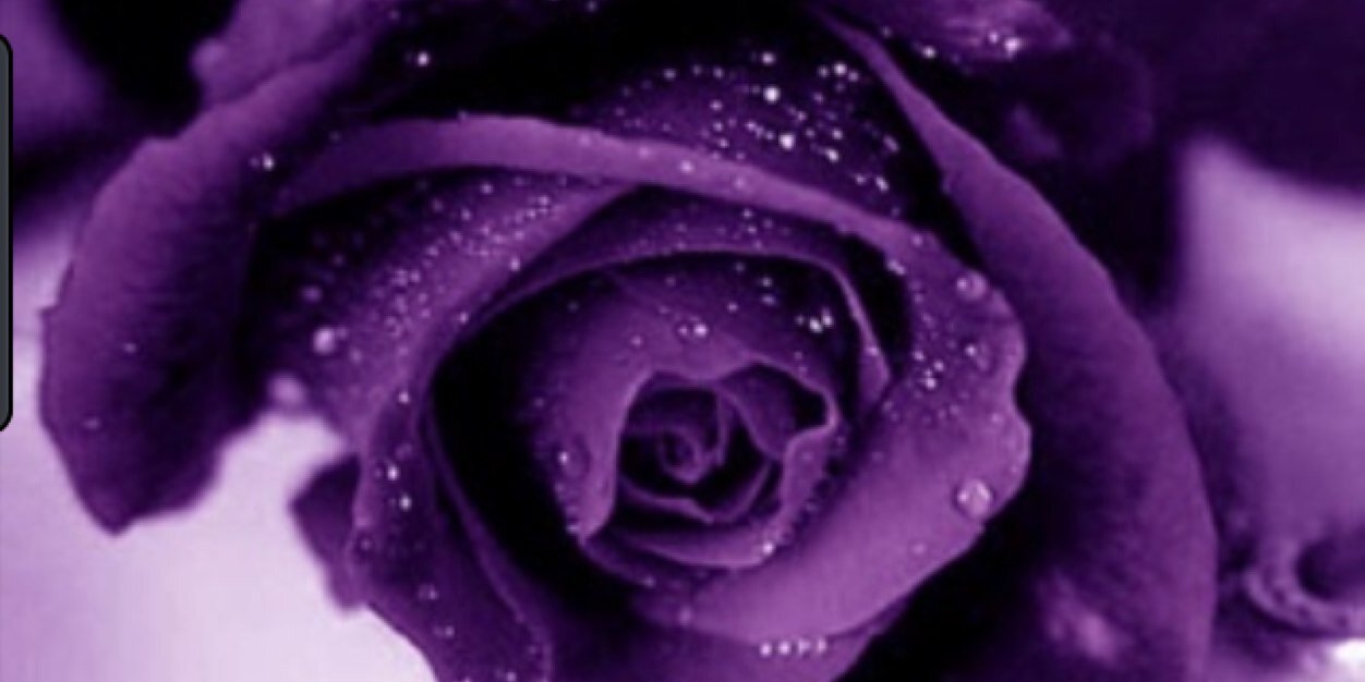 danute629's profile banner image