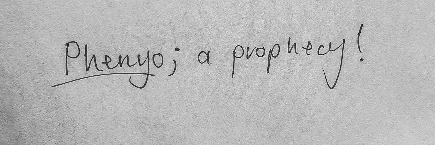 PHNYZY 🏳️‍🌈 banner