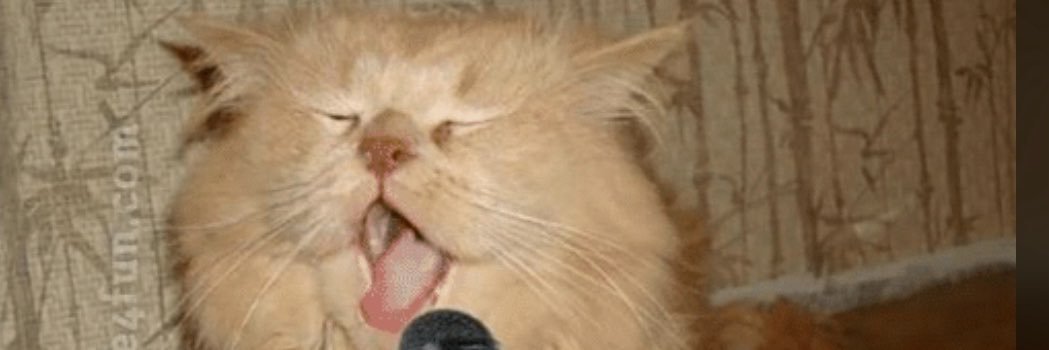 Berniebbee's profile banner image