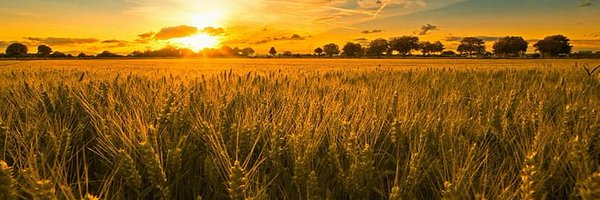 agronobot Profile Banner
