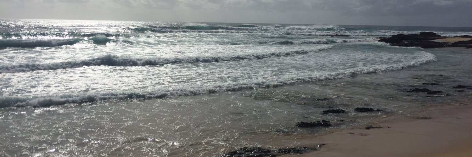 Erica Plummer banner