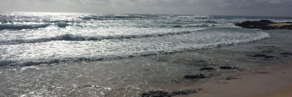 ericalplummer Profile Banner
