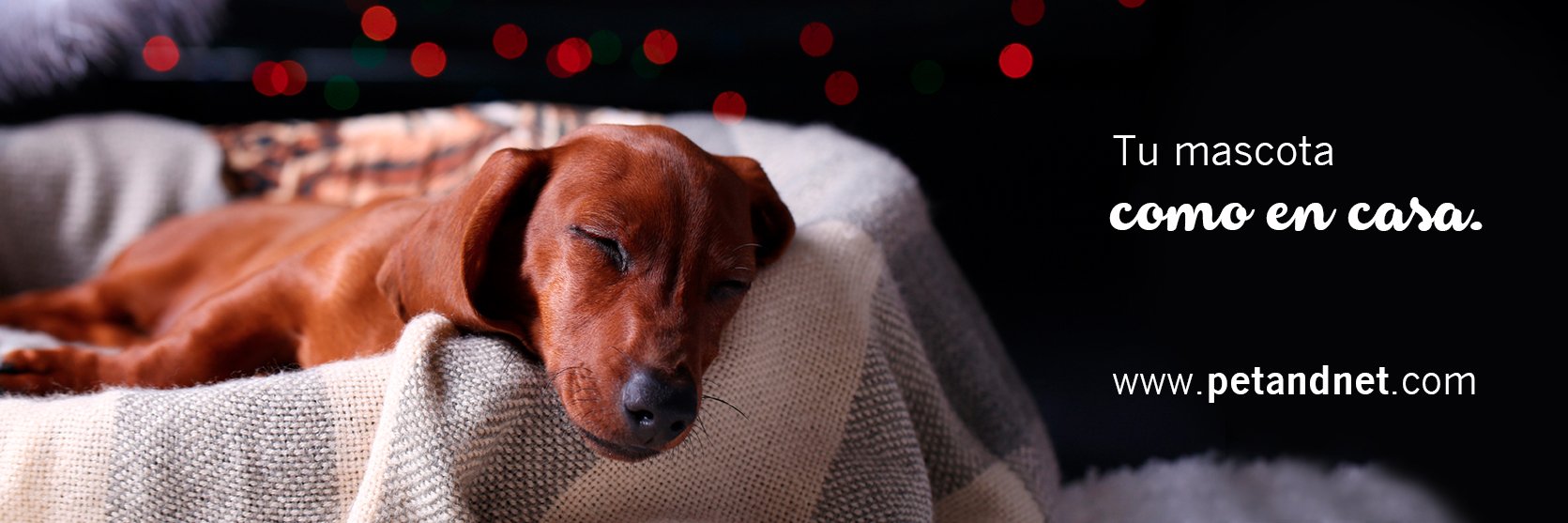 petandnet's profile banner image