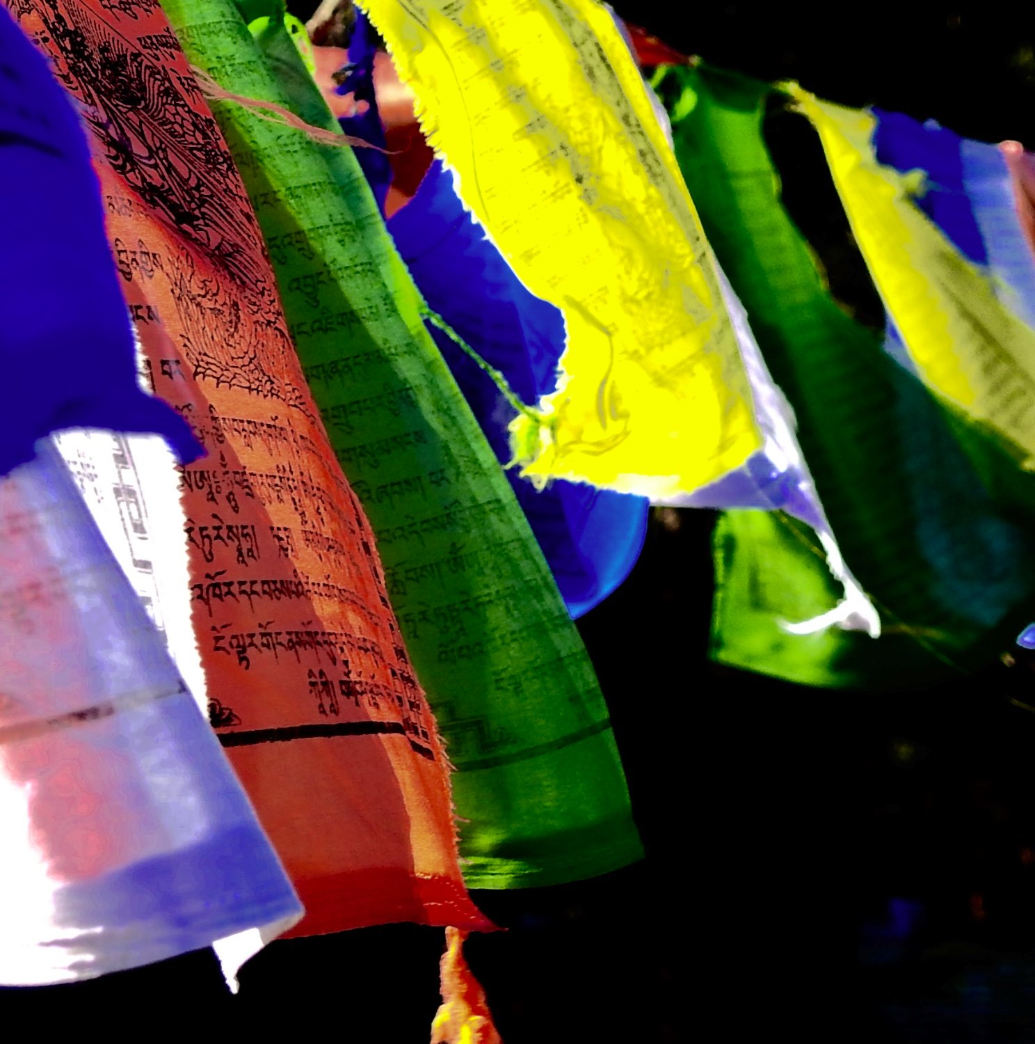 Iain Lawrence banner