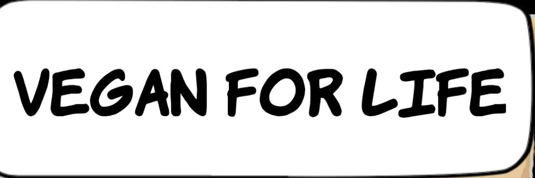 StgGODOGOOD's profile banner image