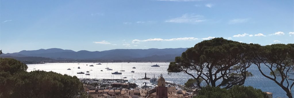 🇫🇷LEFEBVRE J. Charles banner