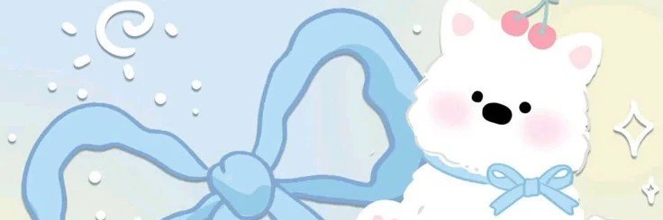 yc. banner