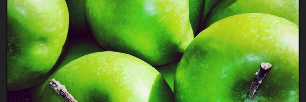 erinfussinger Profile Banner