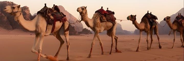 𝙅َِ𝙎َِ𝙏َِ𝙀َِ𝙉َِ ꯭⃟ banner