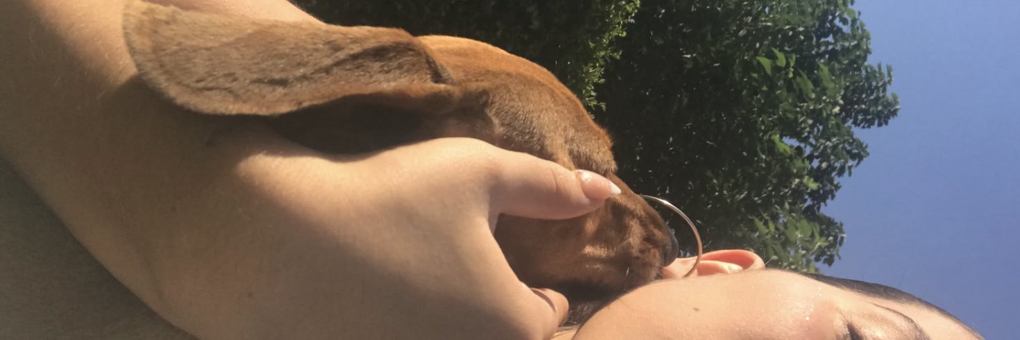 Ramingertizi_'s profile banner image