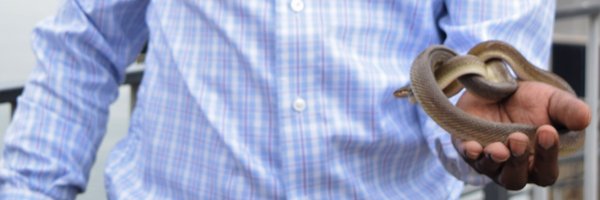 SnakebiteUganda Profile Banner