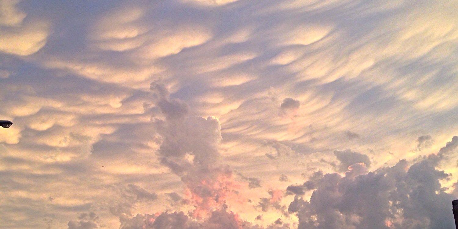 Chris Arden Haynes banner