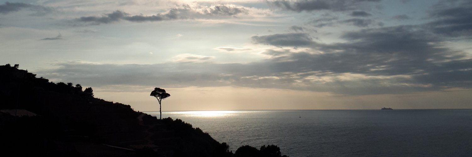 PBibiloni98's profile banner image
