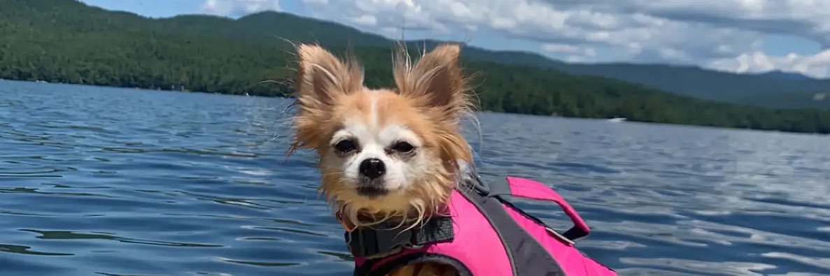 RyleySkog's profile banner image