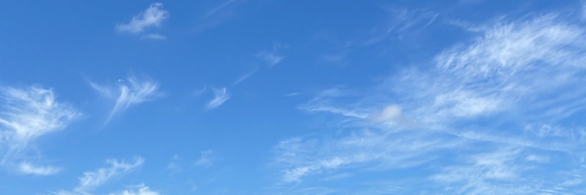 chloelje's profile banner image