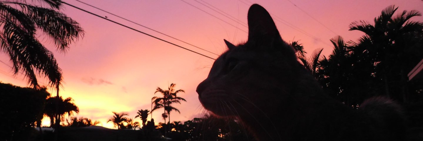 Still Sweatin banner