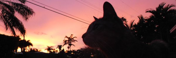 TCOTT03 Profile Banner