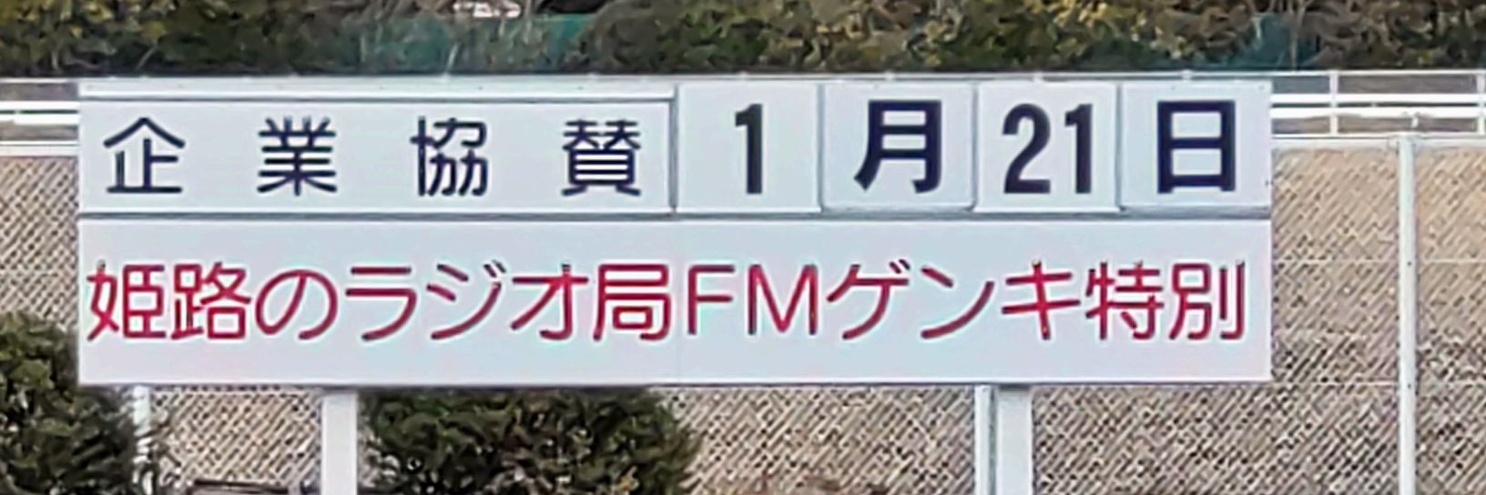 迷子の仔猫 banner