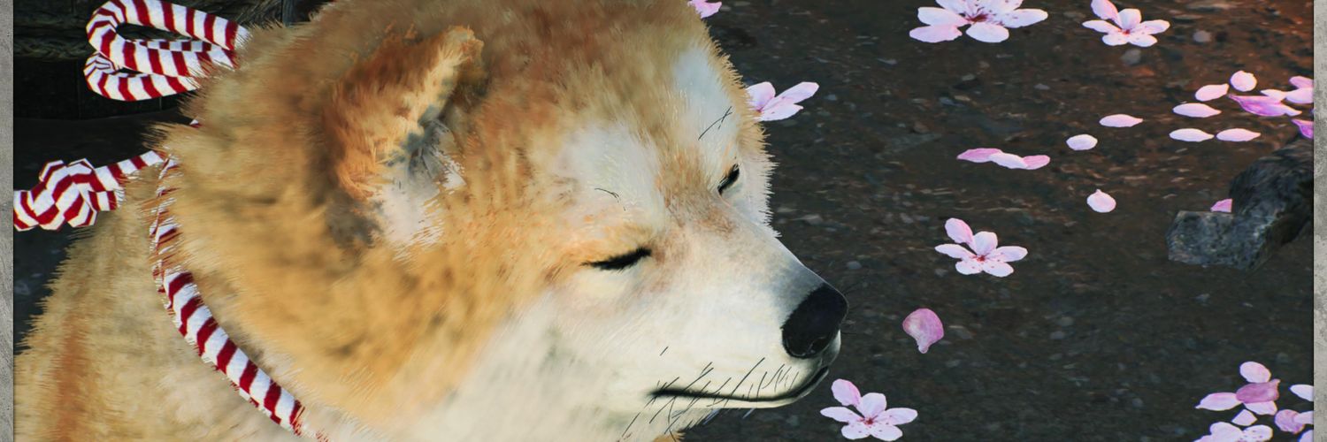 kintoki00's profile banner image