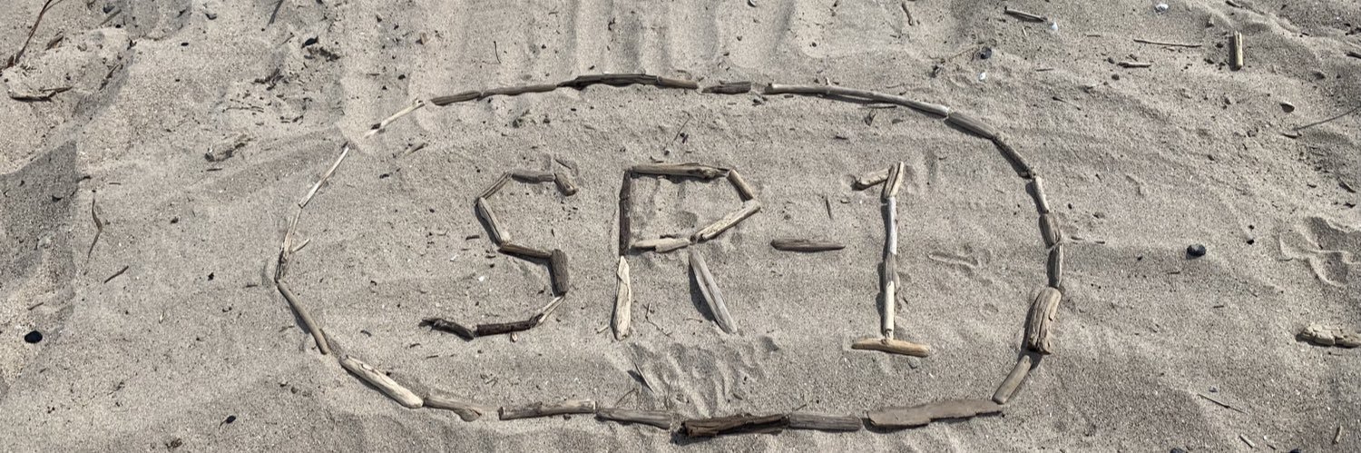 Luanne Steffy banner