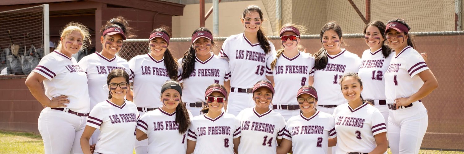 Lady Falcon Softball banner