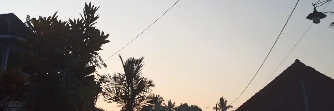 bm_nvnt's profile banner image