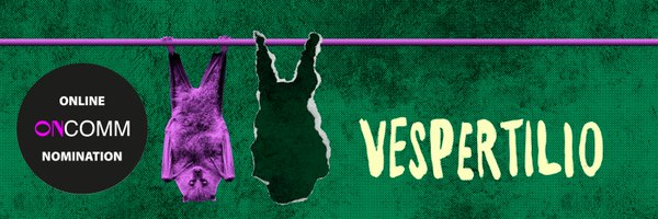 VespertilioPlay Profile Banner