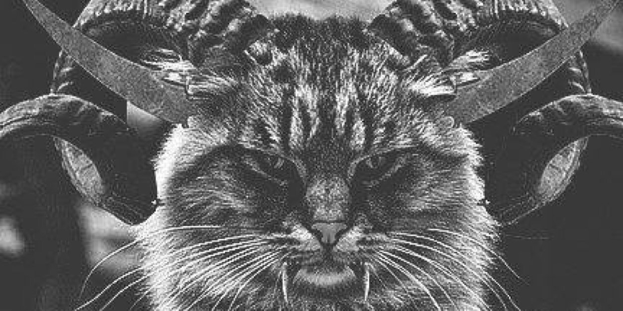 LeksandraMeow's profile banner image