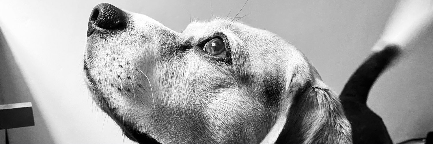 Pamciare's profile banner image