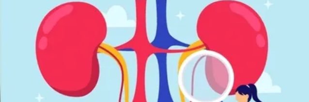 Ken_Nephrology's profile banner image