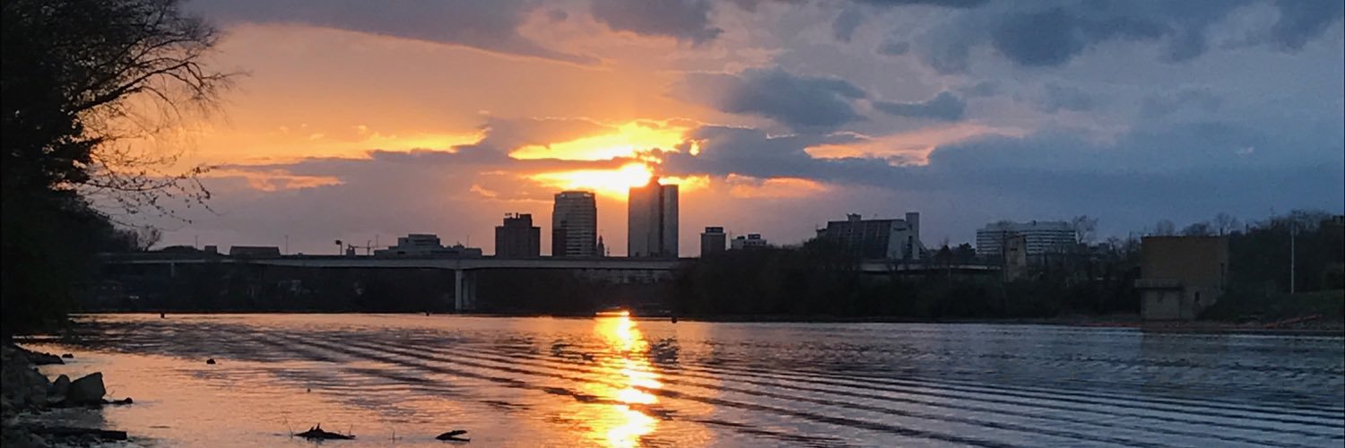 Stephanie Cook banner