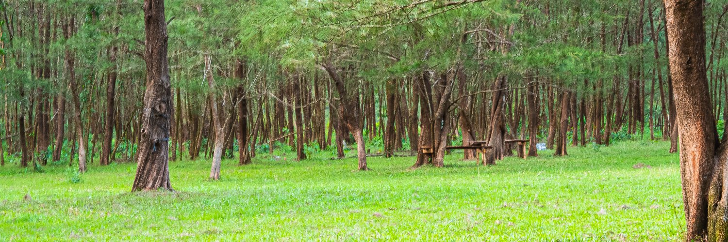 Raz | ETHGas ⛽ banner