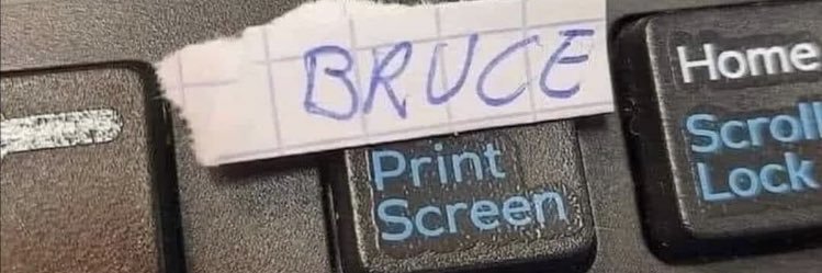 Sanni Helminen banner