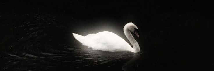 bru banner