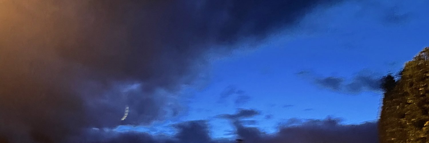 2sa l rene banner