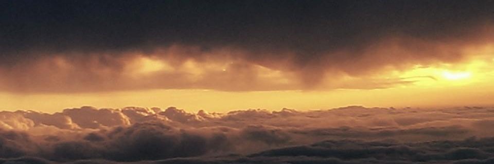 TimTyran's profile banner image