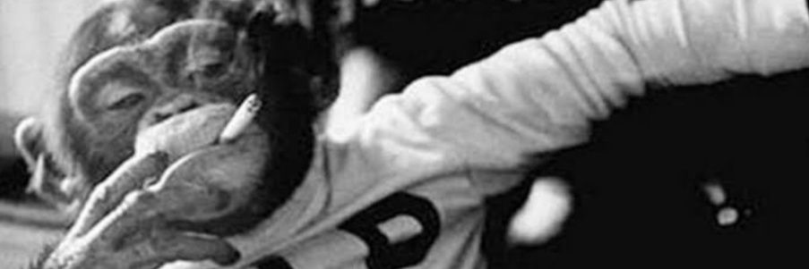 hasan erşan banner