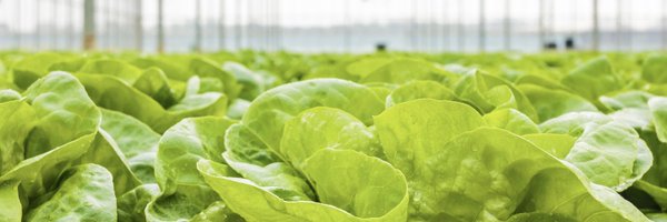 LettuceKnow Profile Banner