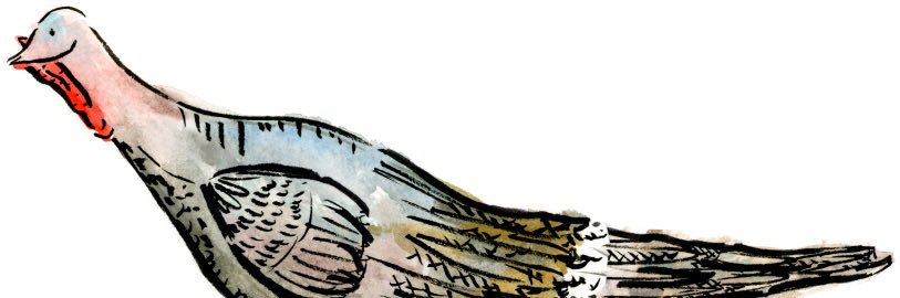 CaitlinMathes's profile banner image