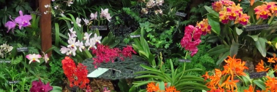 plantstand's profile banner image