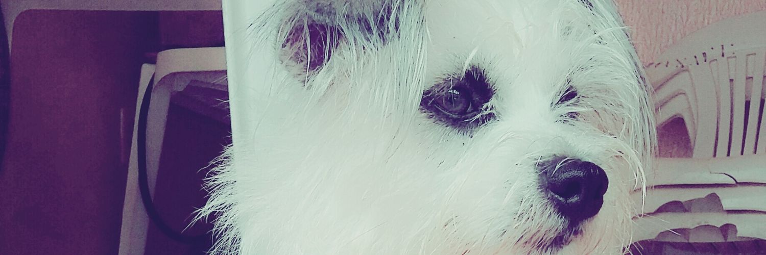 CarlaSa63803724's profile banner image