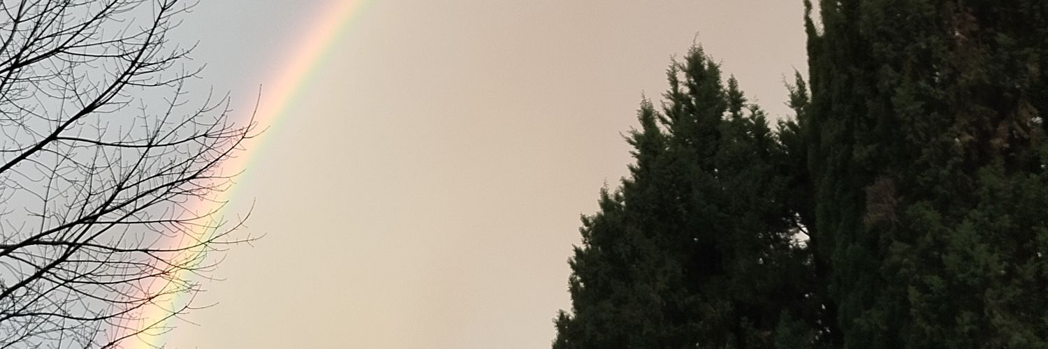 HosseinFeizy's profile banner image