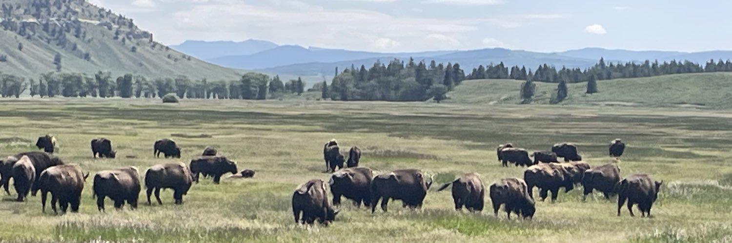 Tony Medawar (Harry Medawar) banner