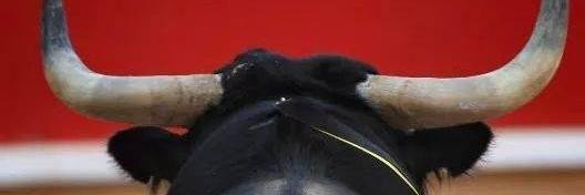 DanGar1205's profile banner image