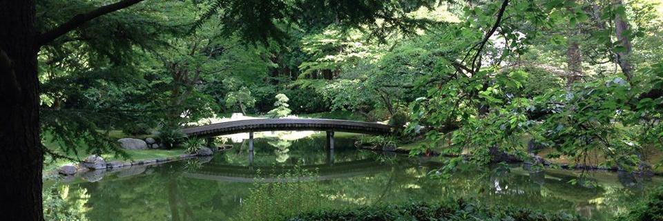 kate fukawa-connelly banner