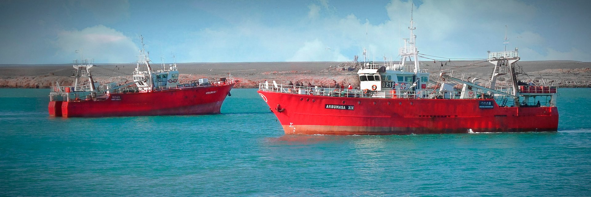 C.A.Pe.C.A. Oficial banner