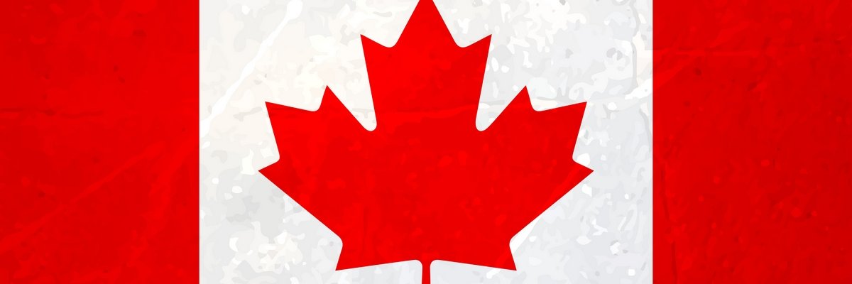 lisashepherd70's profile banner image